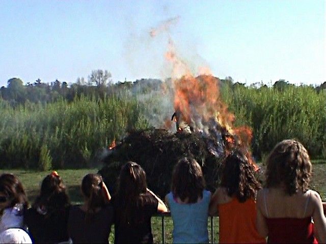 carnaval 2011 (152).jpg